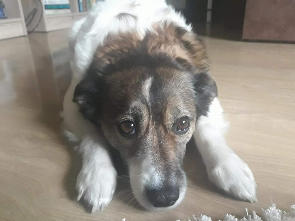 Pochwalmy się swoimi pupilkami :)