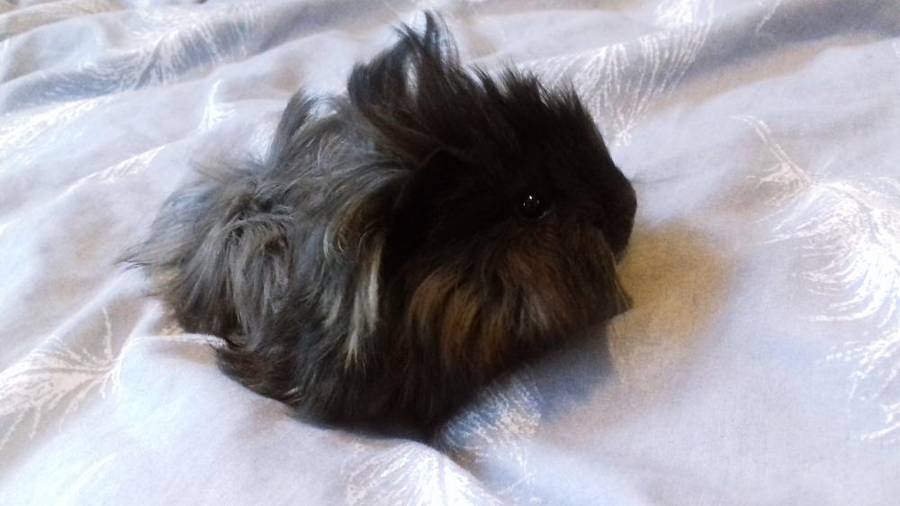 Jestem szczęśliwa bo..