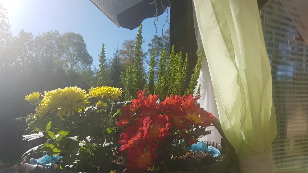 Jestem szczęśliwa bo..