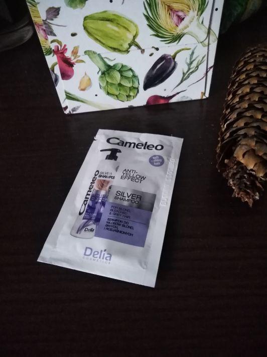 Delia Cameleo, Szampon do włosow, Silver shampoo, Anti-Yellow Effect, Do włosów blond, siwych i rozjaśnionych