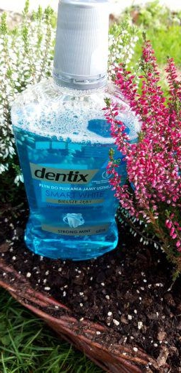 Dentix Strong mint, płyń do płukania jamy ustnej