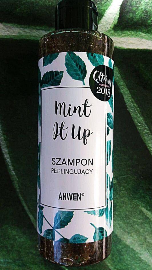 Anwen Szampon peelingujący do włosów, Mint it up