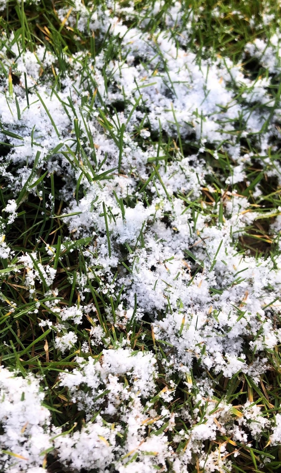 Kulturalne narzekanie na rzeczywistość! Uwaga - zawiera offtopy!