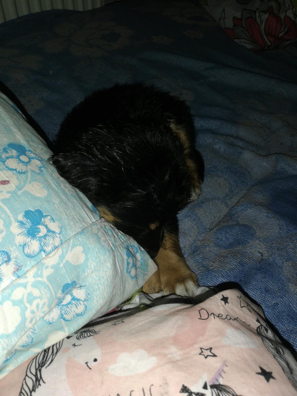 Jestem szczęśliwa bo..