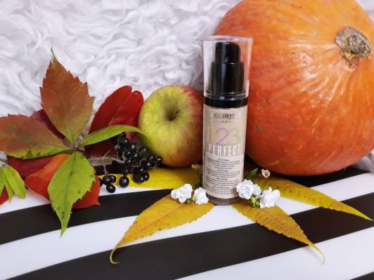 Bourjois Podkład 123