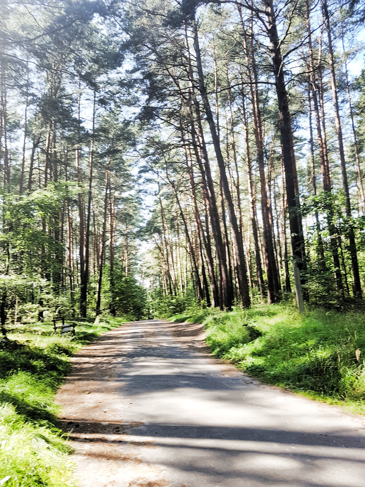 Wspomnienia z wakacji.