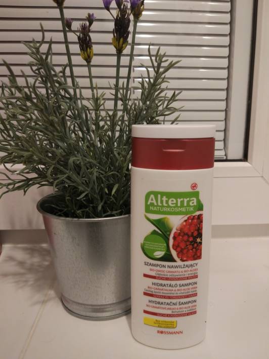 Alterra szampon 