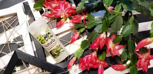 Joanna Naturia, Peeling z balsamem, Drobnoziarnisty, Oliwa z oliwek