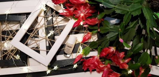 BeBeauty Odżywka do paznokci, Serum Rebuilder