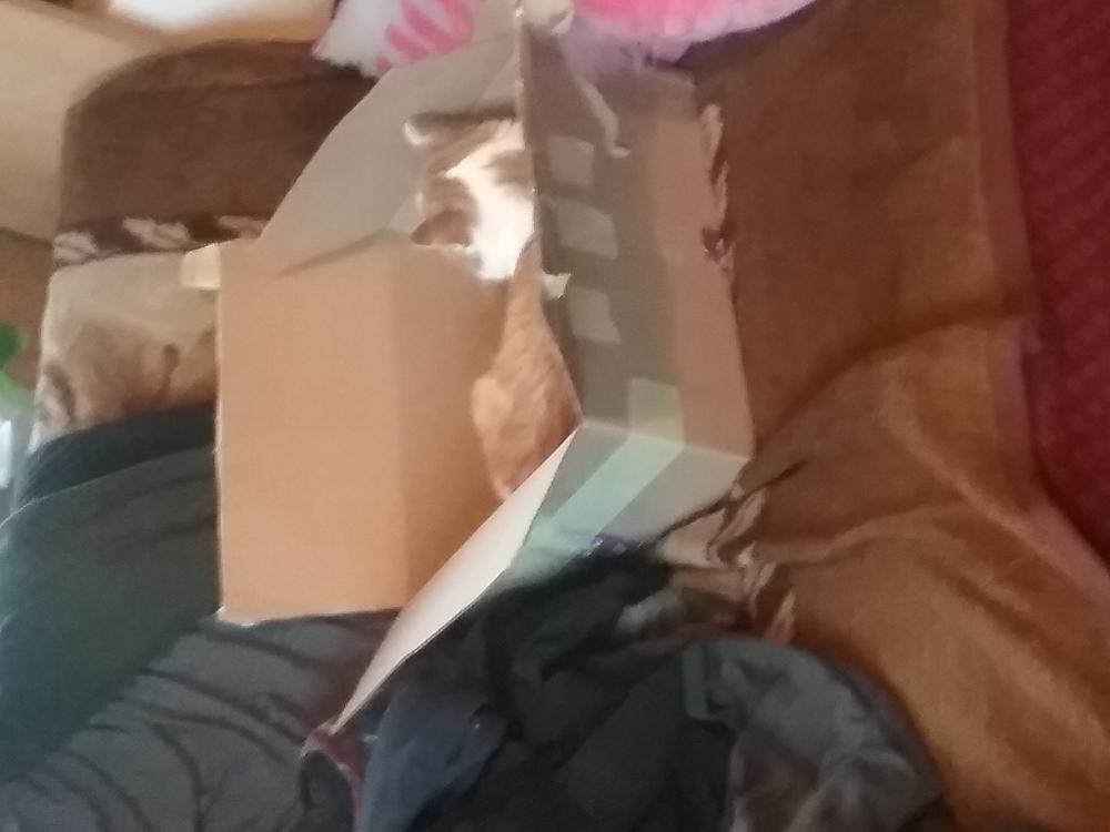 Paczuszki - Christmas Time