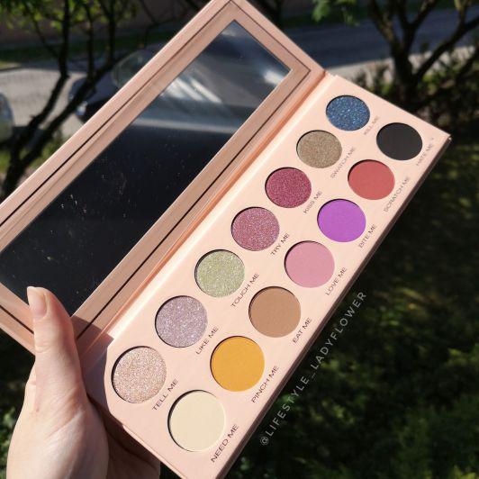 Paletka Pierre René