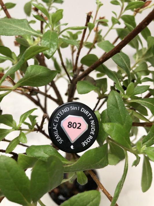 Semilac Extend 5 in 1, Lakier hybrydowy 5 w 1, nr 802 Dirty Nude Rose