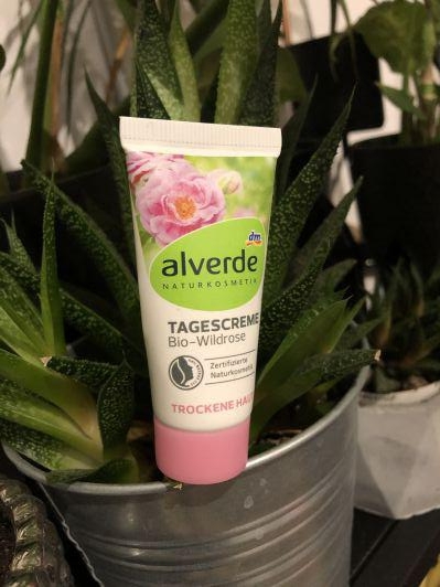 Alverde Krem do twarzy, Na dzień, Dzika róża