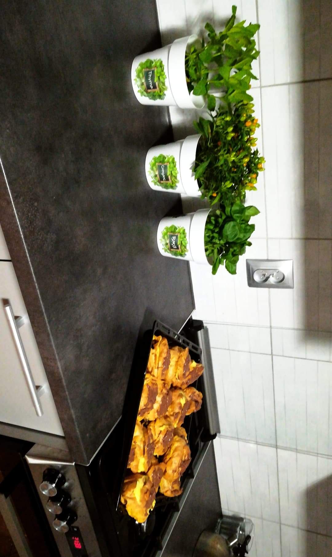 Kółko gospodyń Dresscloud 