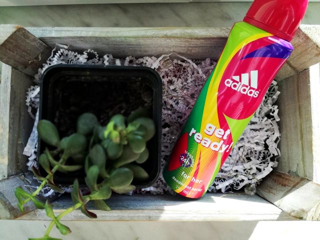 Adidas Dezodorant w sprayu, Get Ready!