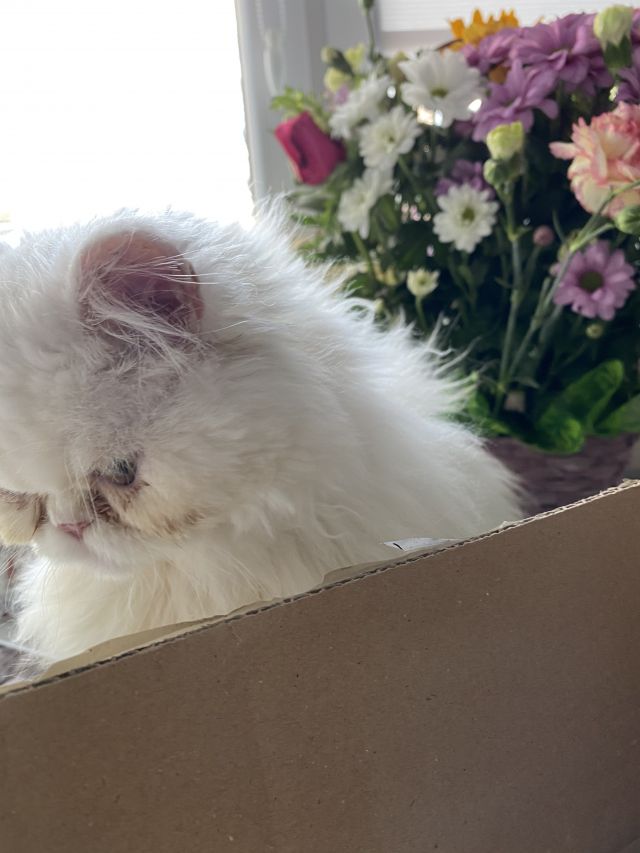 Kulturalne narzekanie na rzeczywistość! Uwaga - zawiera offtopy!