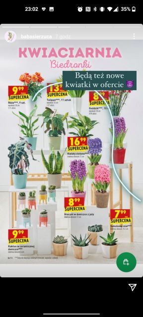 Gdzie co taniej kupię moje zakupowe oszczędności 