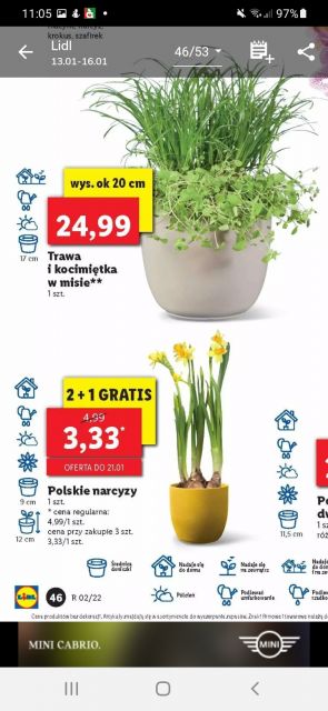 Gdzie co taniej kupię moje zakupowe oszczędności 