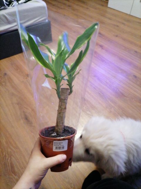 Gdzie co taniej kupię moje zakupowe oszczędności 