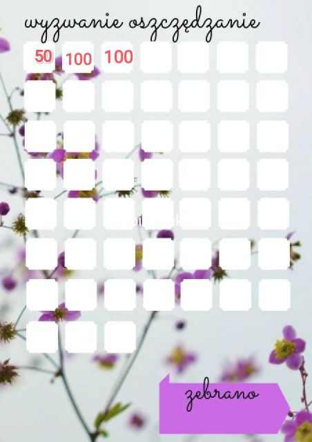  WYZWANIA FINANSOWE💸