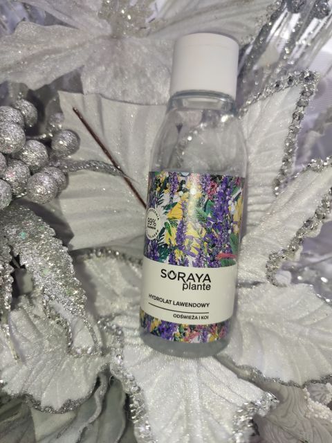 Soraya Plante, Hydrolat, Lawendowy