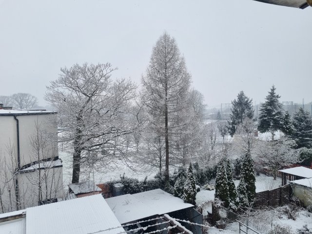 Kulturalne narzekanie na rzeczywistość! Uwaga - zawiera offtopy!