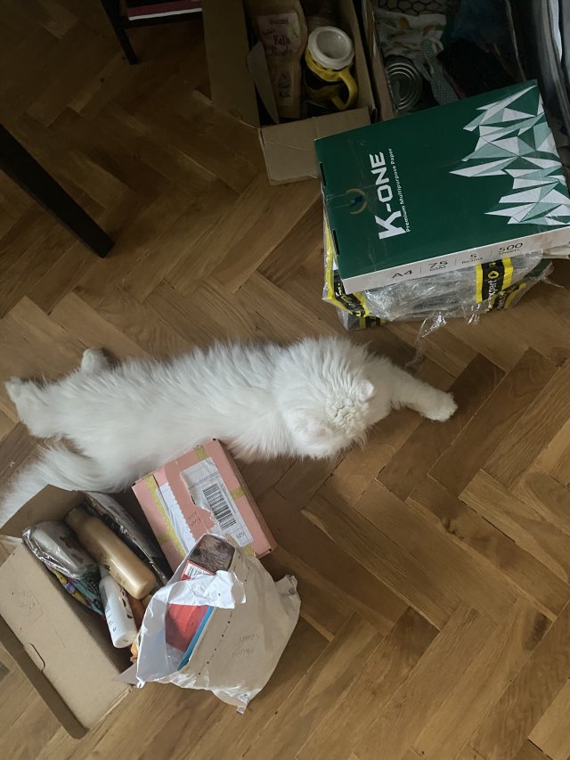 ✩ Kalendarz urodzinowy Clouders ✩