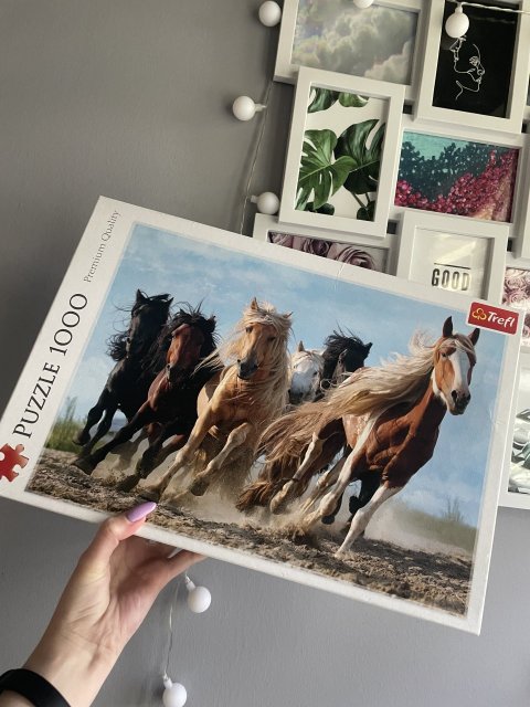 Prywatne wymiany, pokaż co masz 