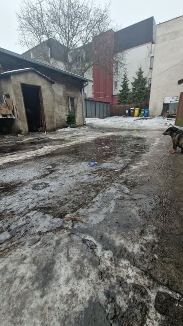 Kulturalne narzekanie na rzeczywistość! Uwaga - zawiera offtopy!