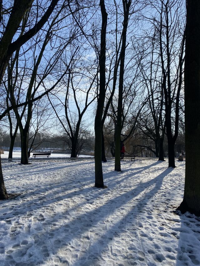 Jestem szczęśliwa bo..