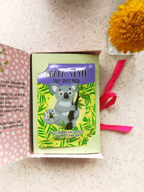 Maseczki z Action wszystkie zwierzęta 