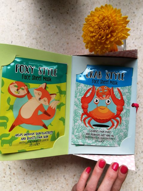 Maseczki z Action wszystkie zwierzęta 