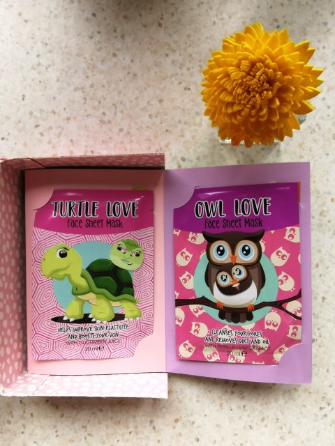 Maseczki z Action wszystkie zwierzęta 