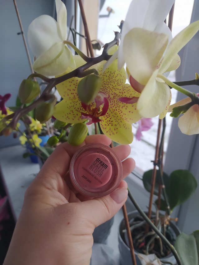 Maybelline Dream Matte Blush, 10 flirty pink, Róż do policzków