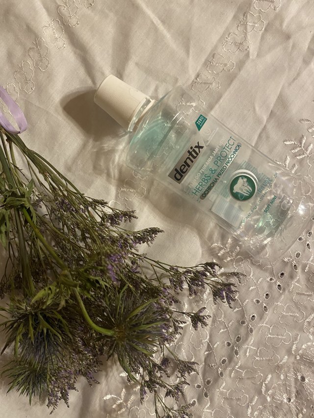 Dentix Herbs & protect, płyn do płukania jamy ustnej. Ochrona przed próchnicą.