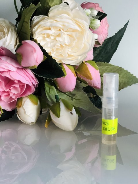 Roses de Chloé chloe