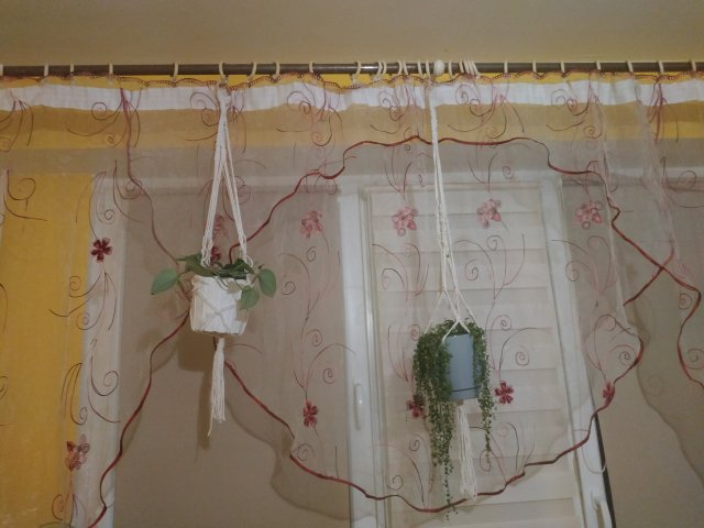 Jestem szczęśliwa bo..