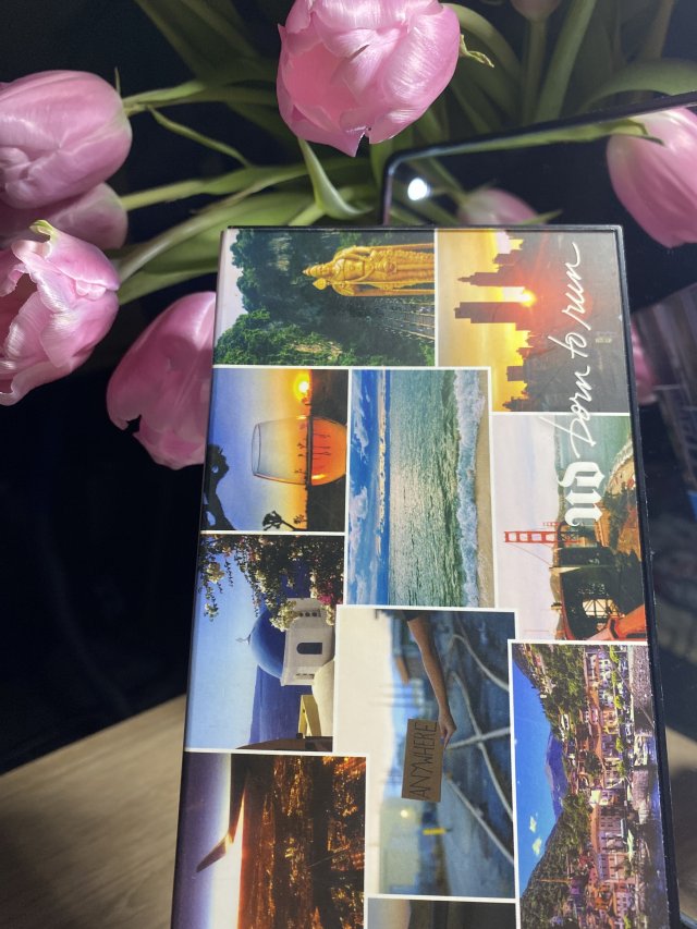 Urban Decay Paleta cieni do powiek, Born to Run