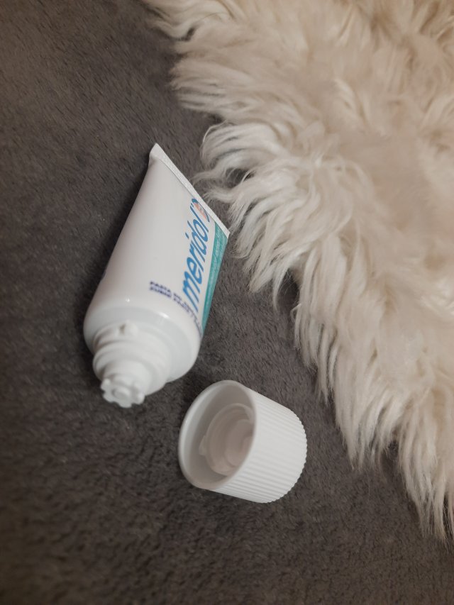 pasta meridol dziasla