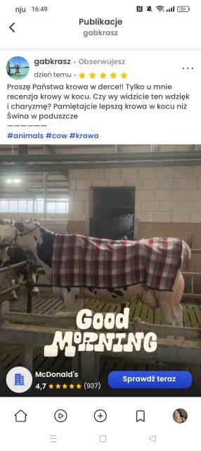 Billin - nowa apka do recenzji i zarabiania 