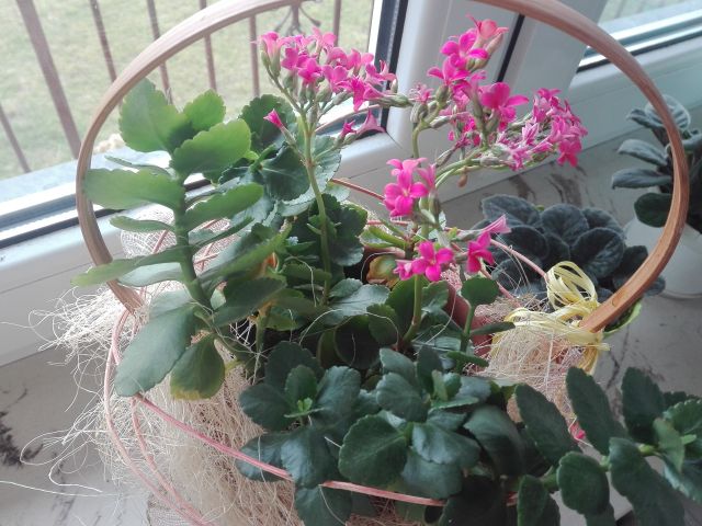 Wyzwanie FOTOGRAFICZNE  - Sierpień ! :) 