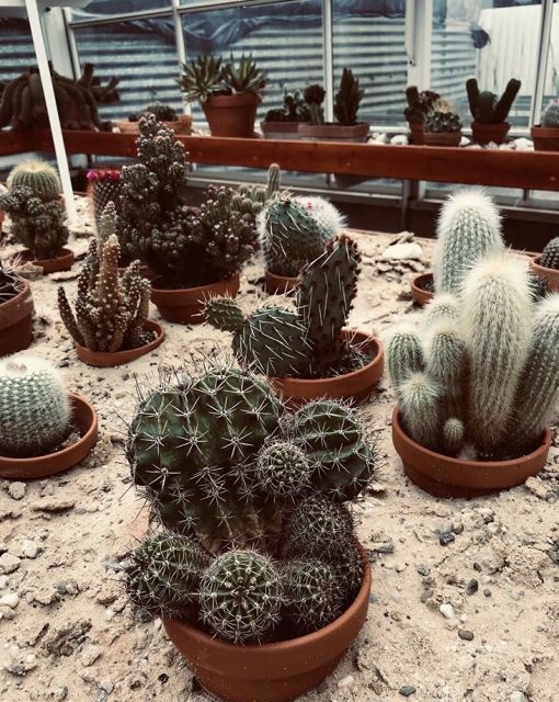 Wyzwanie FOTOGRAFICZNE  - Sierpień ! :) 