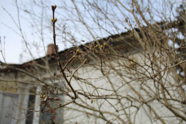 Wyzwanie FOTOGRAFICZNE  - Sierpień ! :) 