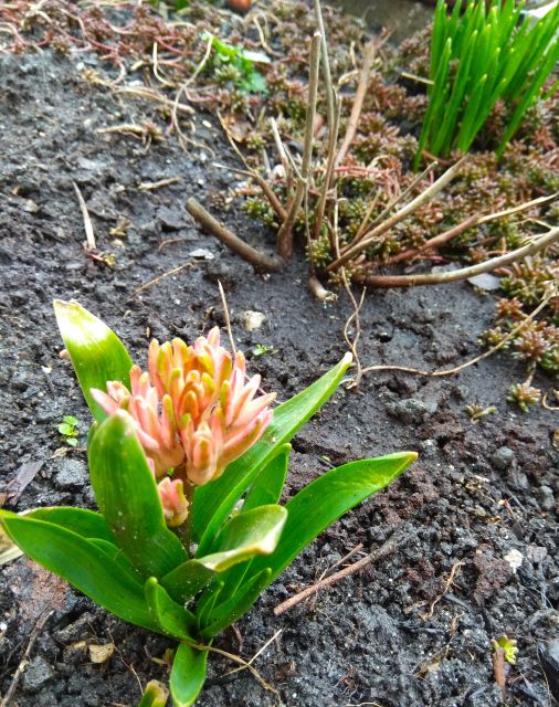 Wyzwanie FOTOGRAFICZNE  - Sierpień ! :) 