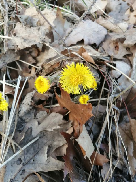 Wyzwanie FOTOGRAFICZNE  - Sierpień ! :) 