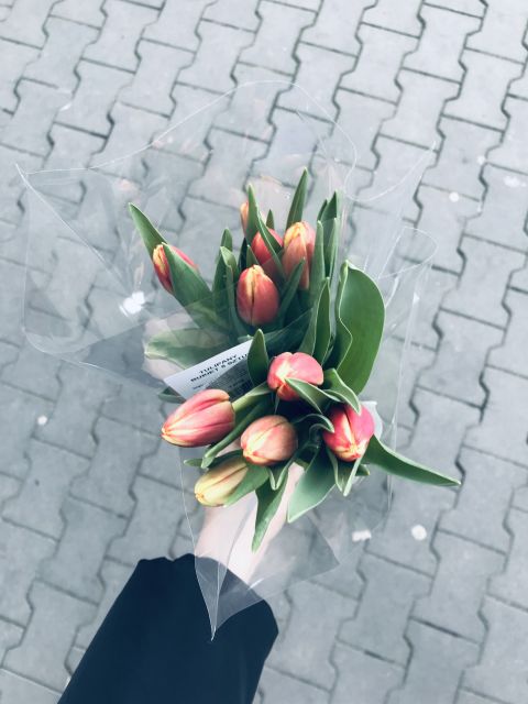 Wyzwanie FOTOGRAFICZNE  - Sierpień ! :) 