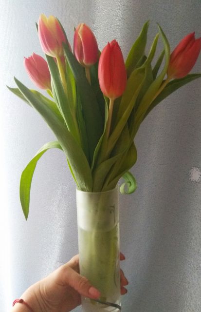 Wyzwanie FOTOGRAFICZNE  - Sierpień ! :) 