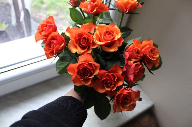 Wyzwanie FOTOGRAFICZNE  - Sierpień ! :) 