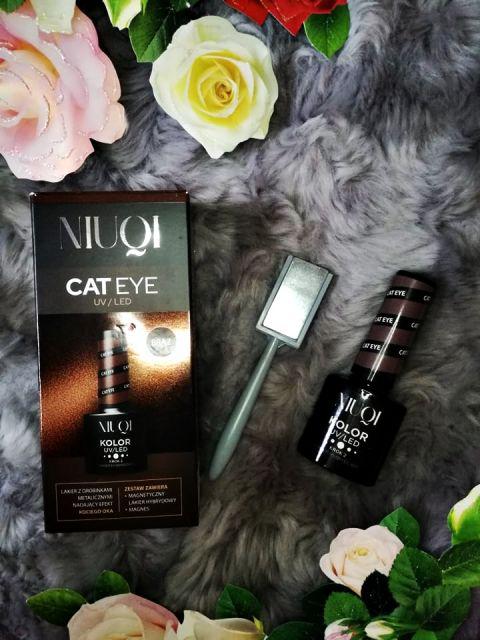 NIUQI Lakier hybrydowy, Cat Eye, Brąz