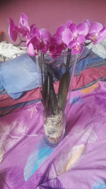 Wyzwanie FOTOGRAFICZNE  - Sierpień ! :) 